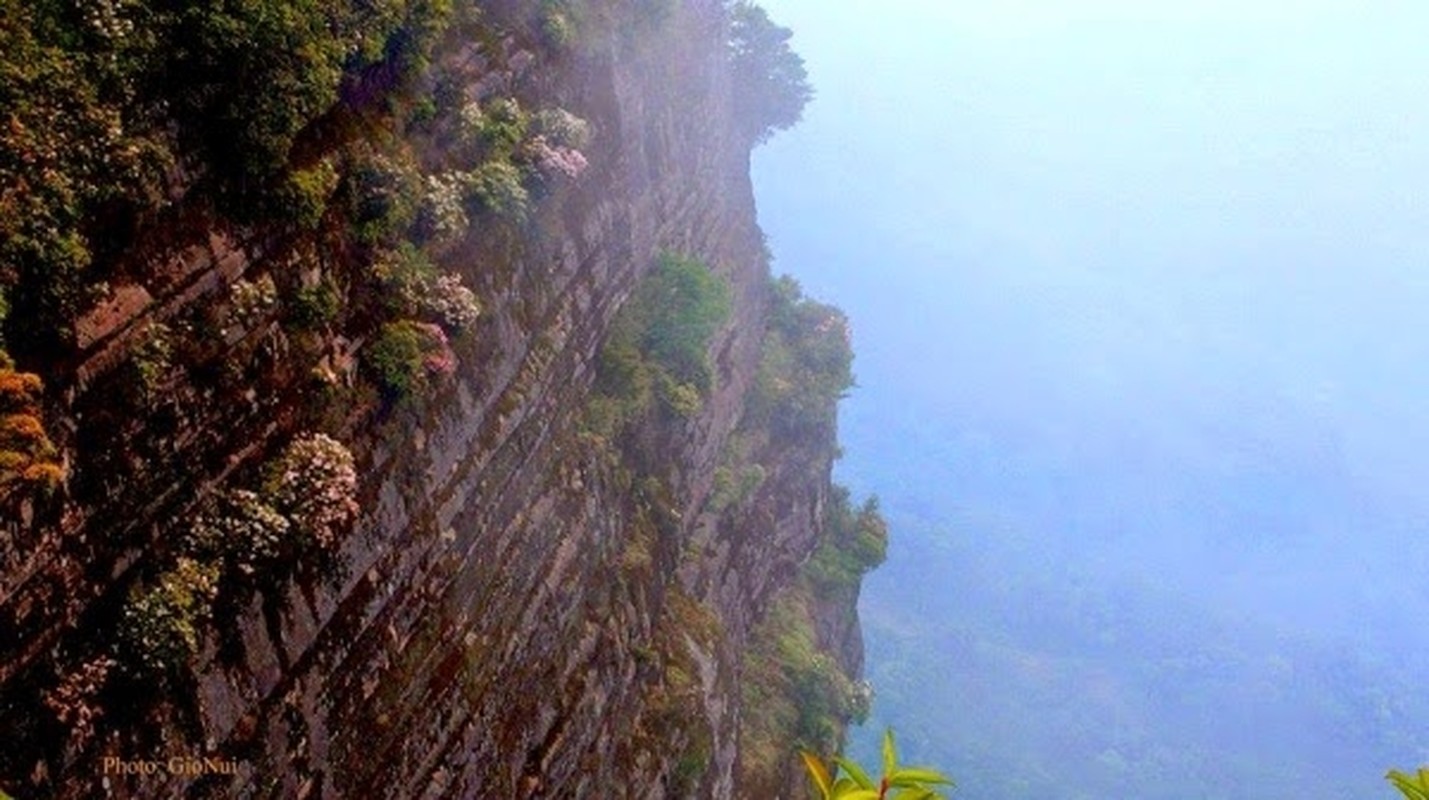 Thang 4 len Moc Chau ngam do quyen, hai man dao chin-Hinh-3